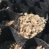 HDPE Geocell Supplier in South Africa Prices HDPE Geocell Supplier in South Africa