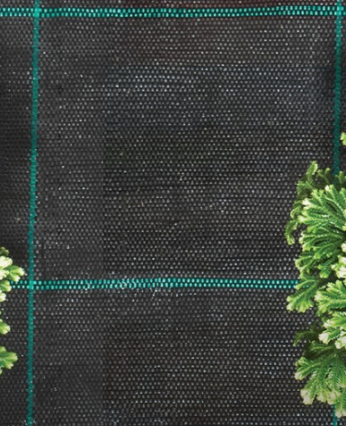 High-Strength Weed-Control Groundcover - PP Woven, UV-Stabilised, Water-Permeable - 5.25m x 100m Roll