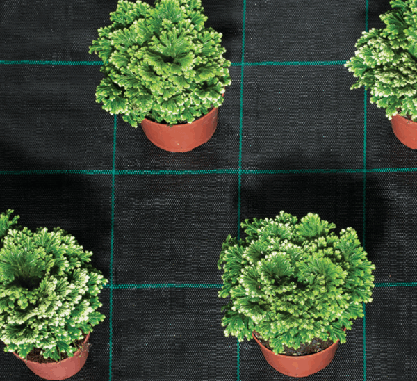 High-Strength Weed-Control Groundcover - PP Woven, UV-Stabilised, Water-Permeable - 5.25m x 100m Roll