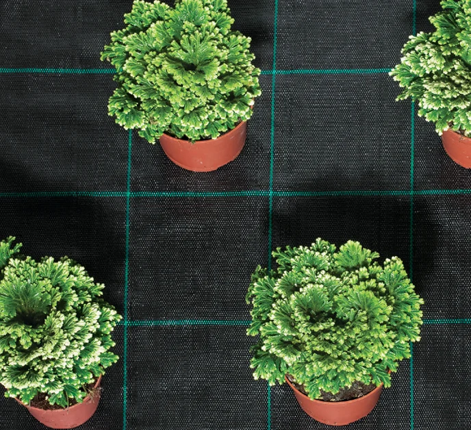 Ground Cover Weedguard Supplier in South Africa High-Strength Weed-Control Groundcover - PP Woven, UV-Stabilised, Water-Permeable - 5.25m x 100m Roll